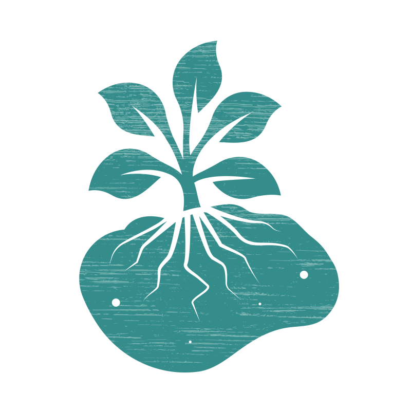 Sustainability_BioBasedIcon_1000x1000